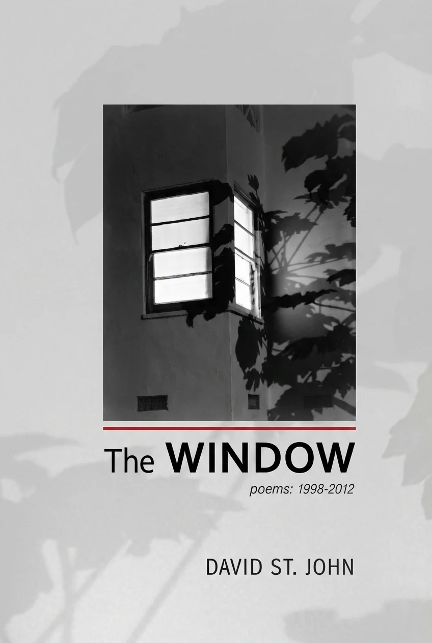 Cover of The Window
